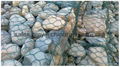 PVC Coated Heavy Hexagonal Gabion Mesh ISO 9001 4