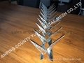 Galvanized or PVC Coated Wall Spikes 4