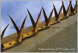 Galvanized or PVC Coated Wall Spikes 5