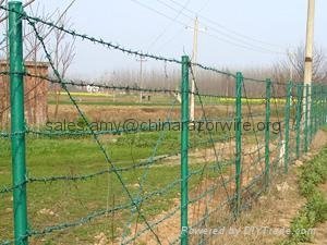 Hot-Dipped Galvanized Barbed Wire 4