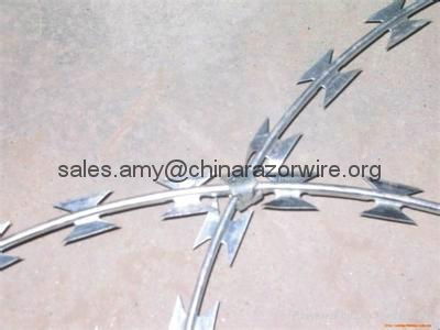  Concertina Coil for Guard Fence From Manufacturer 3