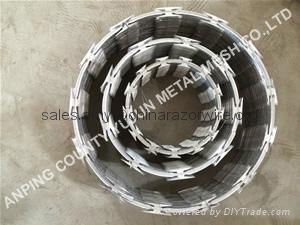 Single Coil Razor Wire (BTO-30, BTO-60, BTO-65) 4