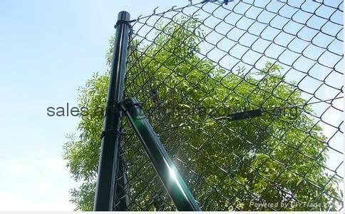 PVC Coated Paint Chain Link Fence (Supplier) 2