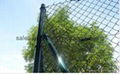 PVC Coated Paint Chain Link Fence (Supplier) 2