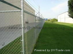 PVC Coated Paint Chain Link Fence (Supplier) 3