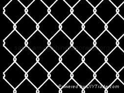 PVC Coated Paint Chain Link Fence (Supplier) 4