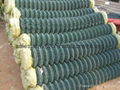 PVC Coated Paint Chain Link Fence (Supplier) 5