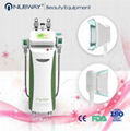 Cryolipolysis Slimming Machine 1