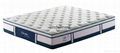 OMU-FP32 2014 New style pocket hgih quality Mable Memory Foam mattress  1