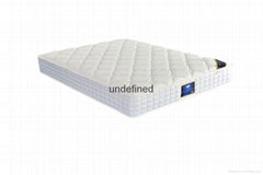 AS-B23 AI-1301 Hot selling compressed comfortable sleeping spring mattress 