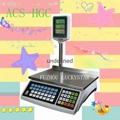 Digital Price Scale with Pay Change Function and Large LCD Display (ACS-HGC)