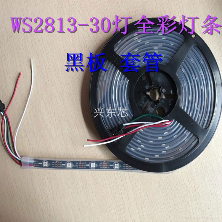 WS2812黑色板一米30燈30段防水硅膠加單點控制器 3