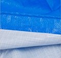 Shandong new manufacturer sales waterproof fabric 4