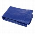 Shandong new manufacturer sales waterproof fabric 5
