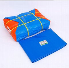 Manufacturer of custom processing car tarpaulin PVC plastic coated tarpaulin