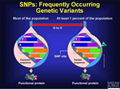 SNP microarray service