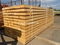 Spruce lumber board 2