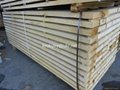 Spruce timber lumber board  2