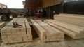Timber lumber beam