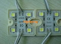 smd 5050 LED module waterproof 1