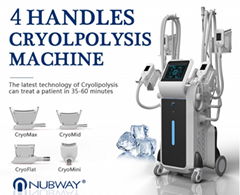 4 handles CoolSculpting Fat Freezing Cryolipolysis slimming  machine