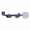 iPhone 6S 4.7" Home Flex Cable 2