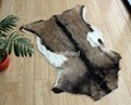 wholesale goat skin with nature growth pattern 4