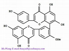 Ginkgetin Cas No.: 481-46-9 HPLC>98%