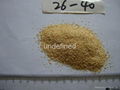 dehydrated garlic granules