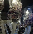 Liu li Tulip Plate----Lighting Accessories 2