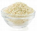 Sesame Seeds 1