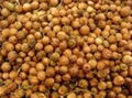 Coriander Seeds 2