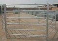 Galvanized horse fence efficiently
