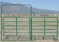 Horse corral panels with galvanized round, square and oval pipe