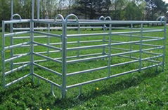 Horse fence panel and horse fencing gate