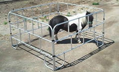 Aluminum portable corrals include standard and mini corrals