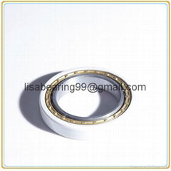 NU224EM/C3 NU226C3 Cylindrical rolling bearing