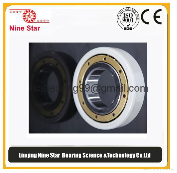 NU224ECM/C3 bearing NU226 insulation bearing 2