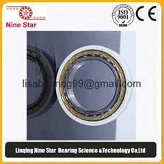 NU224EMC3SQ77 insulated bearing from China