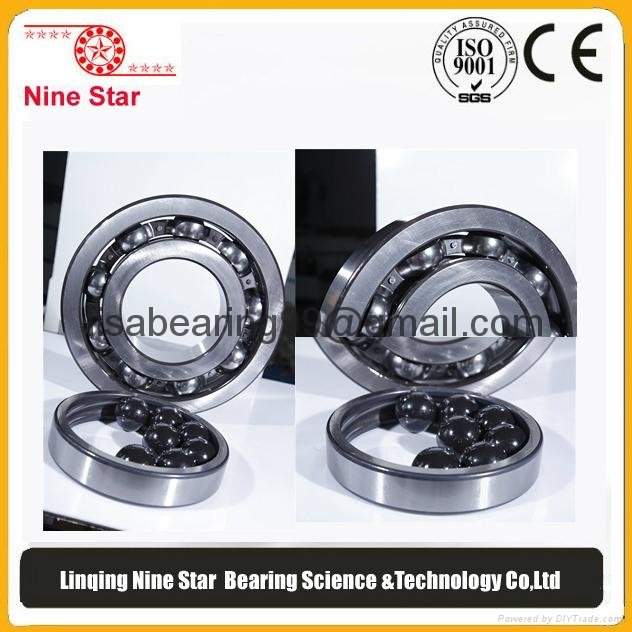 6326 6319 Hybrid Ceramic ball bearings Factory
