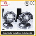 6326 6319 Hybrid Ceramic ball bearings