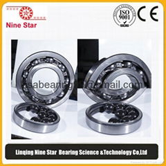 6326 6319 Hybrid Ceramic ball bearings