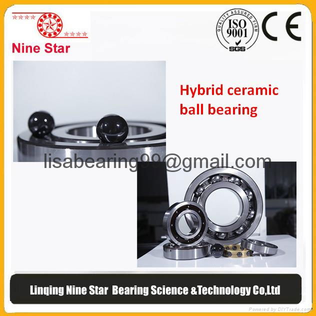 6326 6319 Hybrid Ceramic ball bearings Factory 2