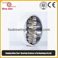 Spherical roller bearings 253514VL0241