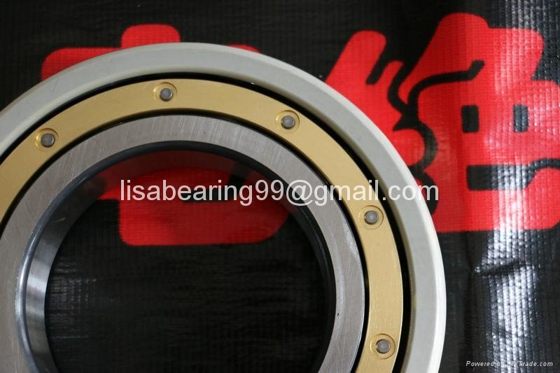 SKF insulated bearings 6317M/C3VL0241 2
