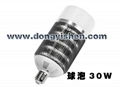 High Power LED Bulb 30W/20W 1