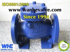 class125 cast iron swing check valve