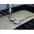 Car Interior Laser Cutting Machine