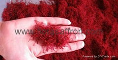 persian saffron 