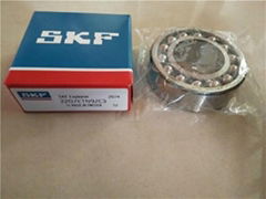 ball bearing SKF